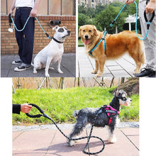 Load image into Gallery viewer, Reflective Dog Leash
